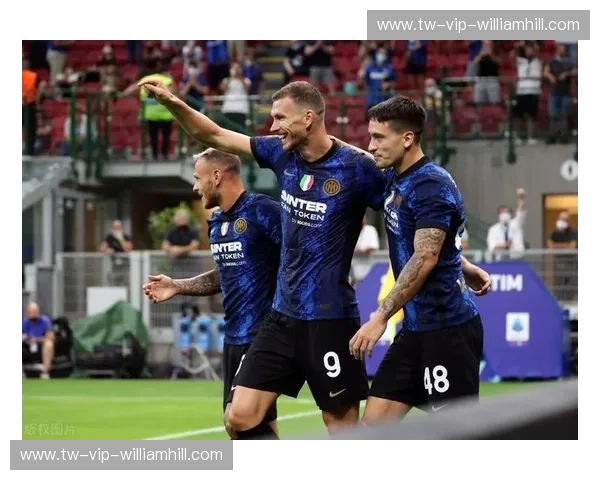 红魔旋风与冰原铁骑：深度剖析比利时vs俄罗斯比分的背后博弈与足球哲学